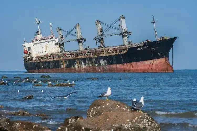 tau-blueways-uy-hai-19