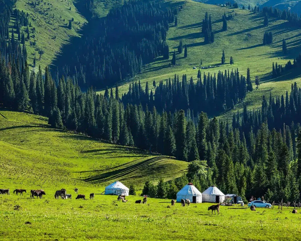 [TOUR NO SHOPPING] BẮC TÂN CƯƠNG 8 NGÀY 7 ĐÊM - ZH