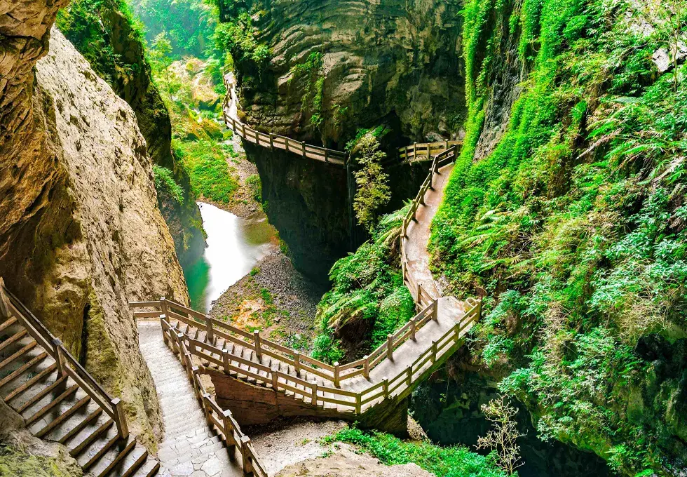 thien-long-kieu-vu-long-trung-khanh-3