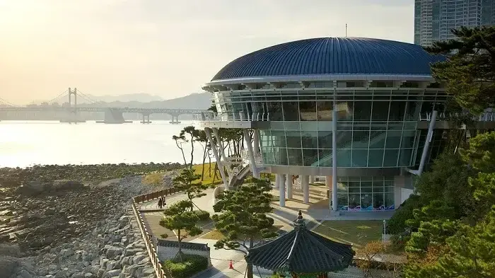 HÀ NỘI – BUSAN – TÀU VEN BIỂN– SEOUL – NAMI– TRƯỢT TUYẾT – HÁI DÂU