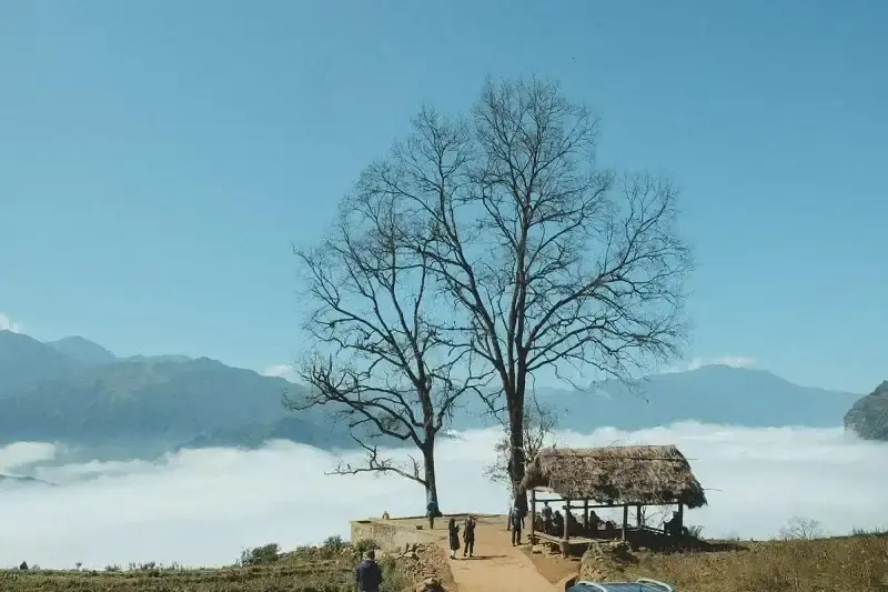 TOUR Y TÝ 2 NGÀY 1 ĐÊM