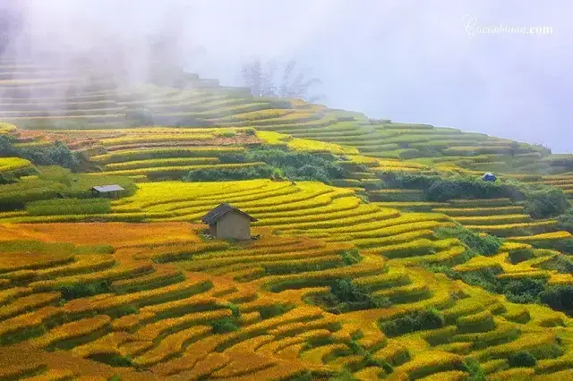 TOUR Y TÝ 2 NGÀY 1 ĐÊM