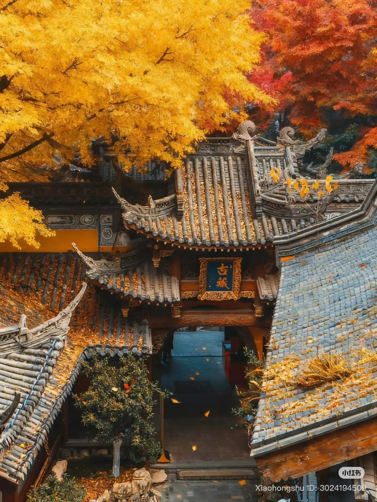 trung-khanh-mua-thu-1