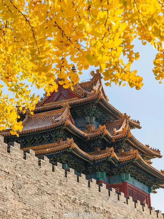 tu-cam-thanh-bac-kinh-mua-thu