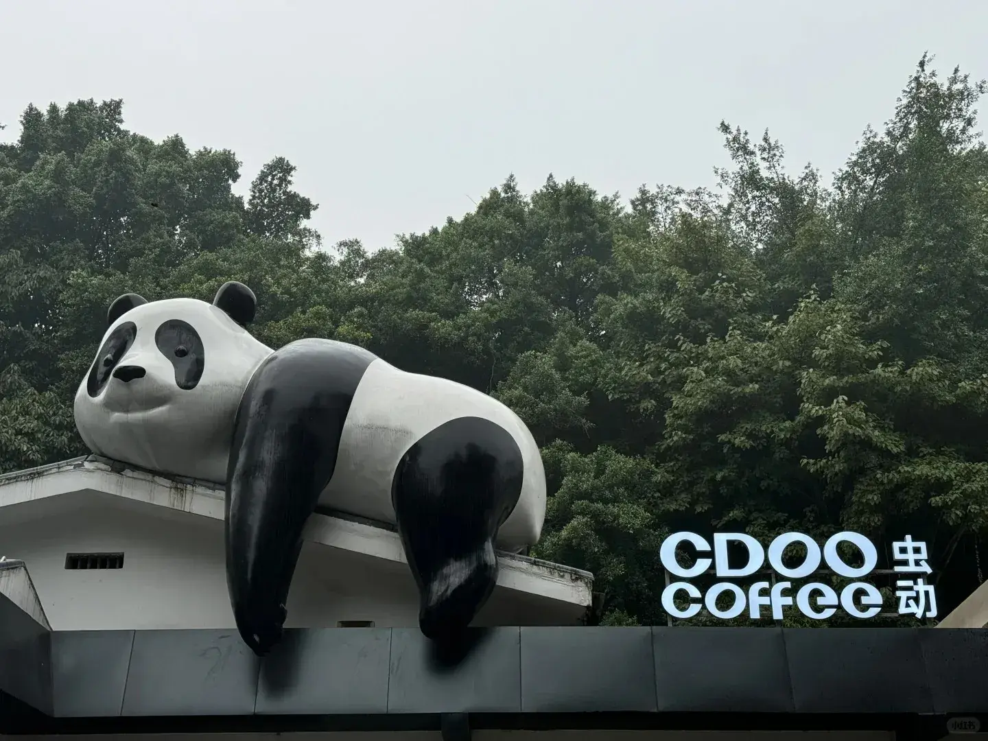 vuon-thu-trung-khanh-8