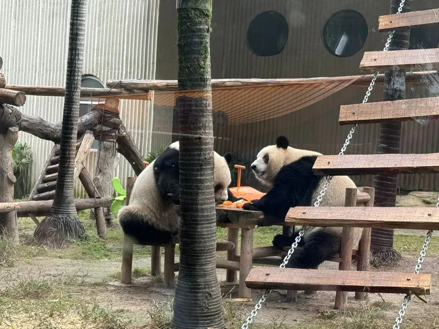 vuon-thu-trung-khanh-9